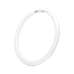 B.V. Fénycső T9 G10q/40W/230V 6500K kép