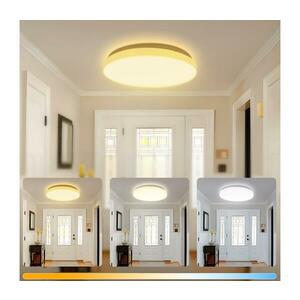 Brilagi - LED mennyezeti lámpa MILKY WAY LED/24W/230V 3000/4000/6500K átm. 38 cm B10310ADAA kép