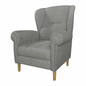 Világosszürke füles fotel Swan – Ropez kép