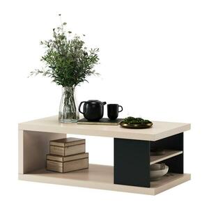 Mazzoni LORA dohányzóasztal polccal és tárolóval, bézs/fekete 5903631917509 kép