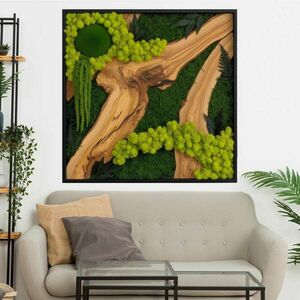 Négyzet matrica moha - organikus fal és olajbogyó minta kép