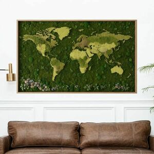 Matrica térkép a világról - Moha erdő és természetes részletek kép