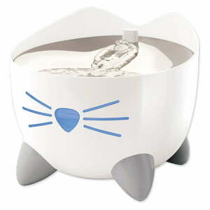 Kutya és macska tálak kép