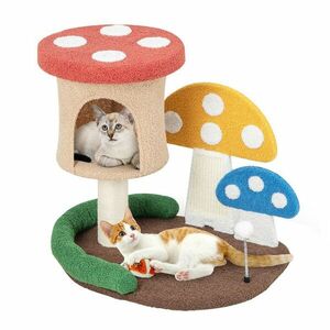 Macska mászóka gomba kép