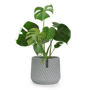 Fox & Fern Heusden, virágcserép, Polystone, növények számára alkalmas, kézzel készített kép