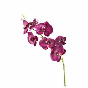 LEONARDO FIORE orchidea 85cm lila kép