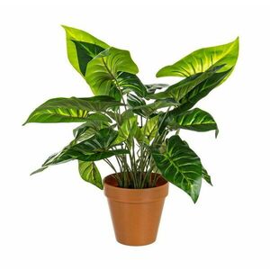 CALADIO zöld műanyag művirág kép