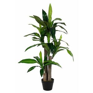 DRACANEA II zöld művirág kép