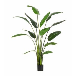 STERILIZIA művirág 235cm kép