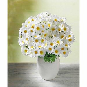 Százszorszépcsokor, művirág kép