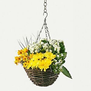 Függőkosár dísznövényeknek kép