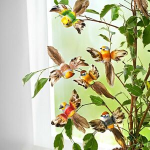 6 db dekor-madár kép