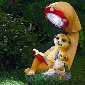 Szolár gomba szurikátával kép