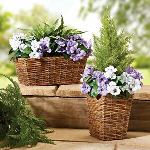 Árvácska virágkosárban kép