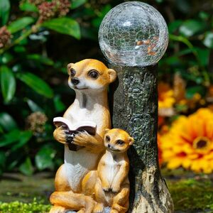 Szolár lámpa „Szurikáta” kép