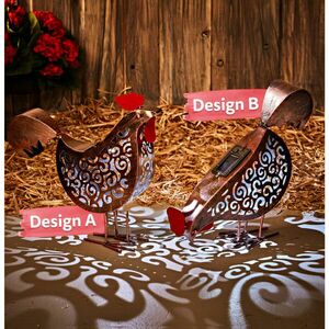 Napelemes tyúk B kép