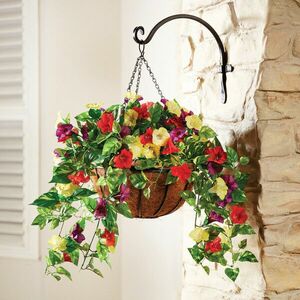 Kilógó petúniák kép