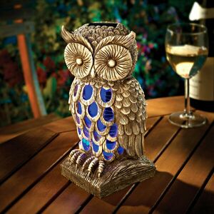 Rovarölő bagoly kép