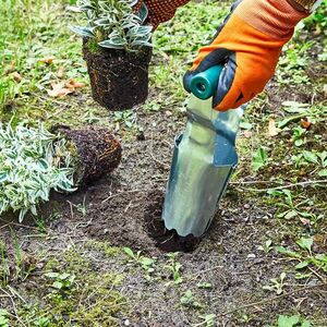 Növényátültető kép