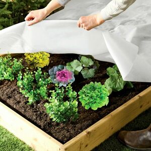 Növényvédő kerti gyapjúszövet kép