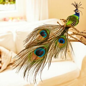 Pávás dekoráció kép