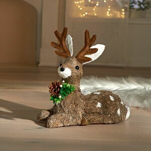 1 db ülő rénszarvas kép