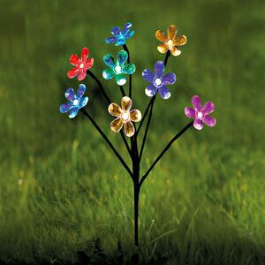 Kerti Napfény Virág kép