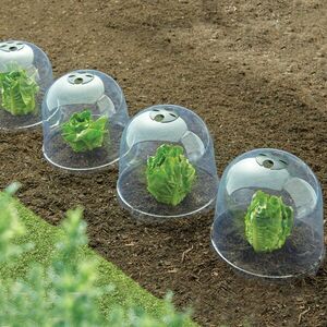 6 db növényvédő harang szettben kép