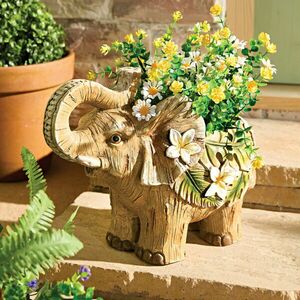 Növény cserépben kép