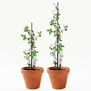 6 db teleszkópos növénytámasz szettben kép