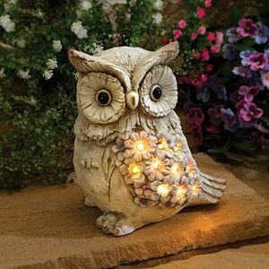 Szolár díszbagoly kép