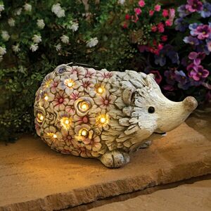 Szolár díszsün kép