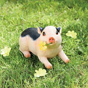 Kismalac - Molly kép