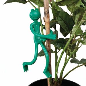 10 db növényrögzítő csipesz Béka kép