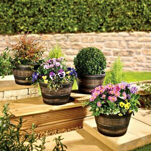 4 db-os ültetőszett kép