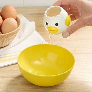 Tojássárga-szétválasztó csibe kép