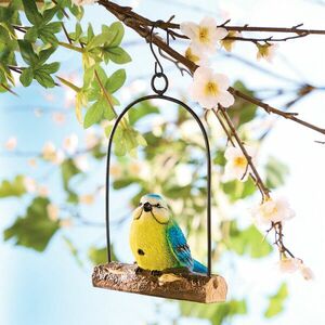 Díszcinke mozgásérzékelővel kép