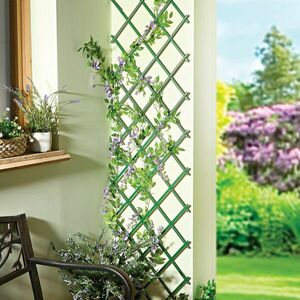 Teleszkópos növényrács kép