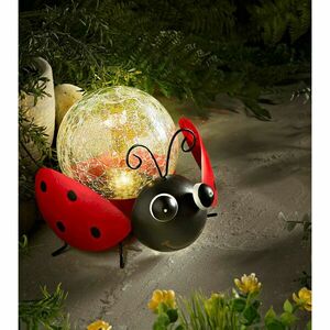 Solar katicabogár kép