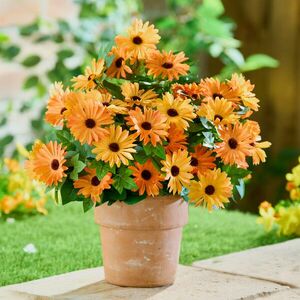 Záporvirág-csokor kép