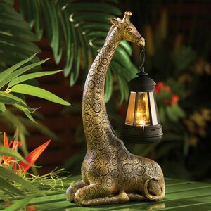 Szolár zsiráf kép