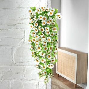 Csüngő virágcsokor Százszorszép kép