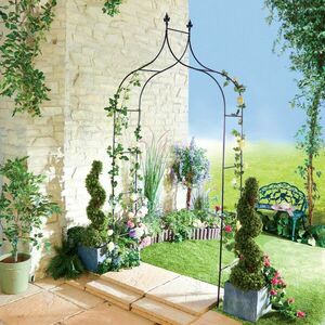 Design mászó növényekhez kép