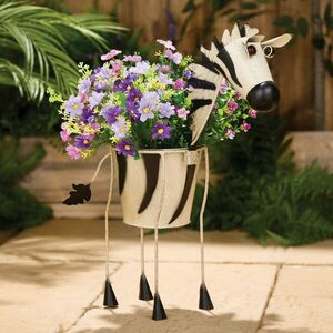 Zebra virágcserép kép