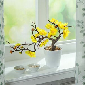 Cserepes virág kép