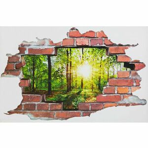 Falmatrica - Erdő kép