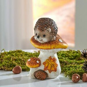 Dekoratív gomba és sündisznó kép