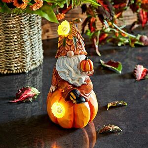 Szakállas manó kép