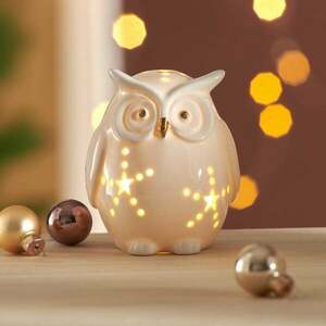 LED-es díszbagoly kép