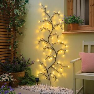 Napelemes fűzfa inda kép